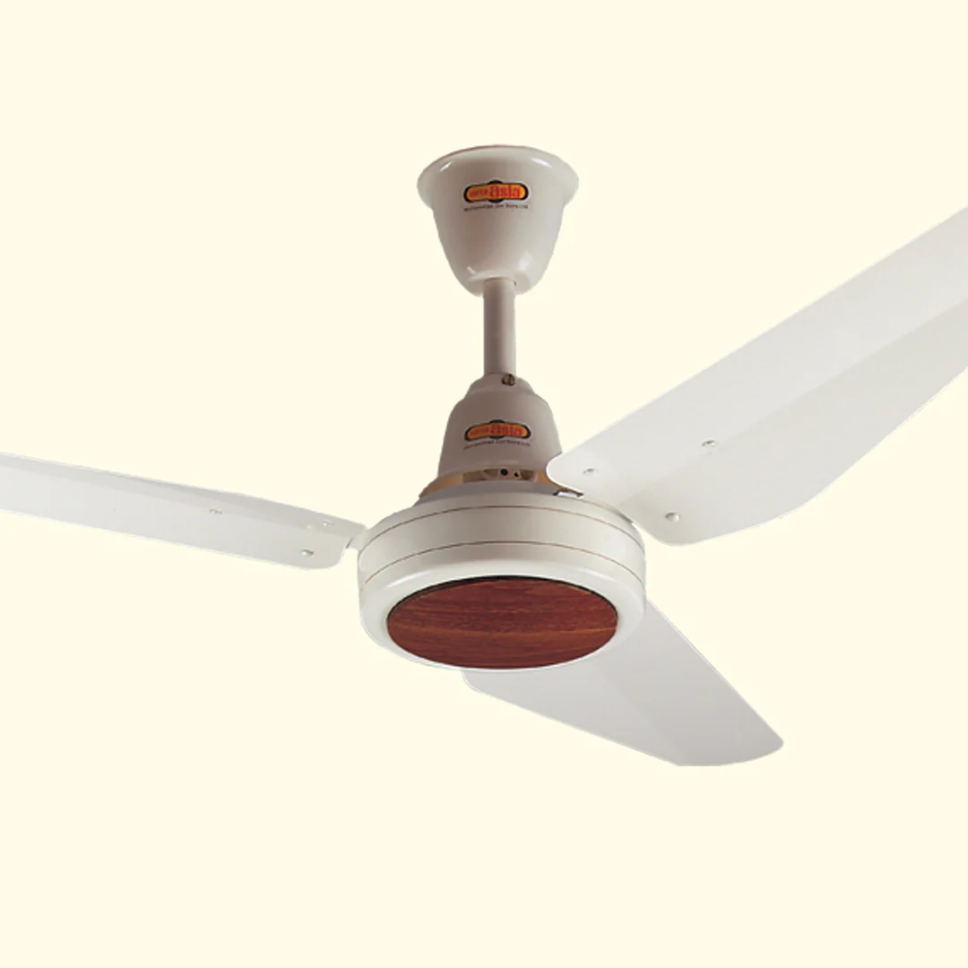 NEW CLASSIC FAN - Image 4